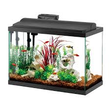 <p>a glass tank or bowl in which fish or other aquatic animals live</p>