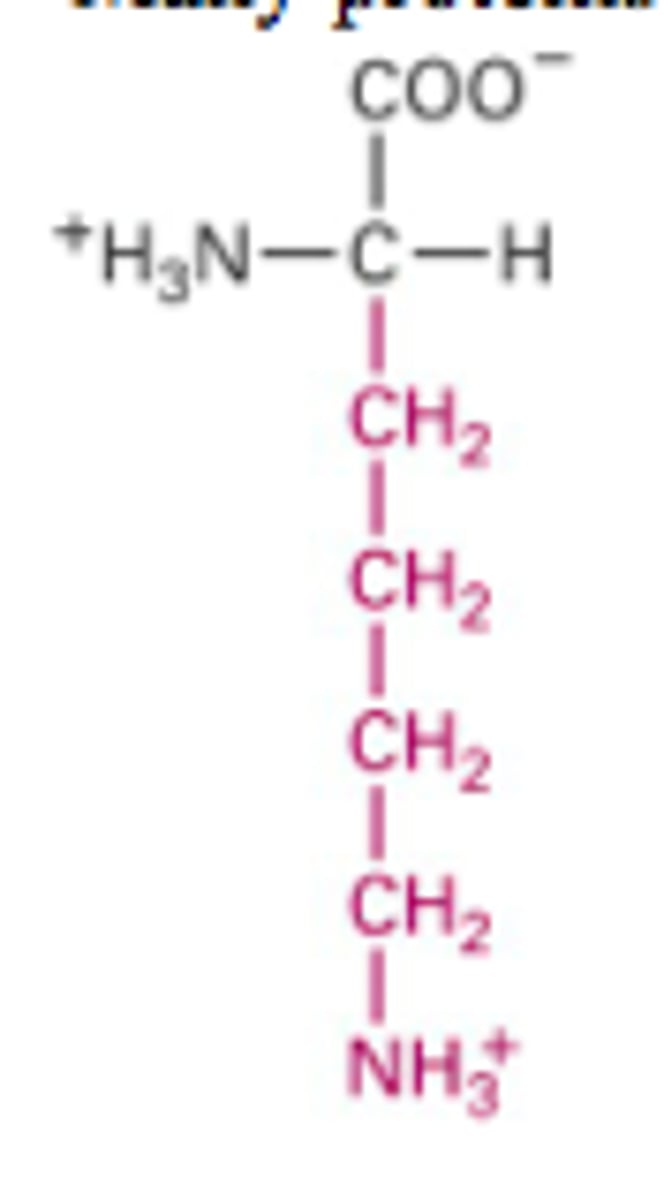 <p>What Structure is this?</p>
