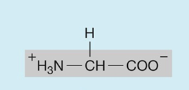 <p>hydrophobic (nonpolar)</p>