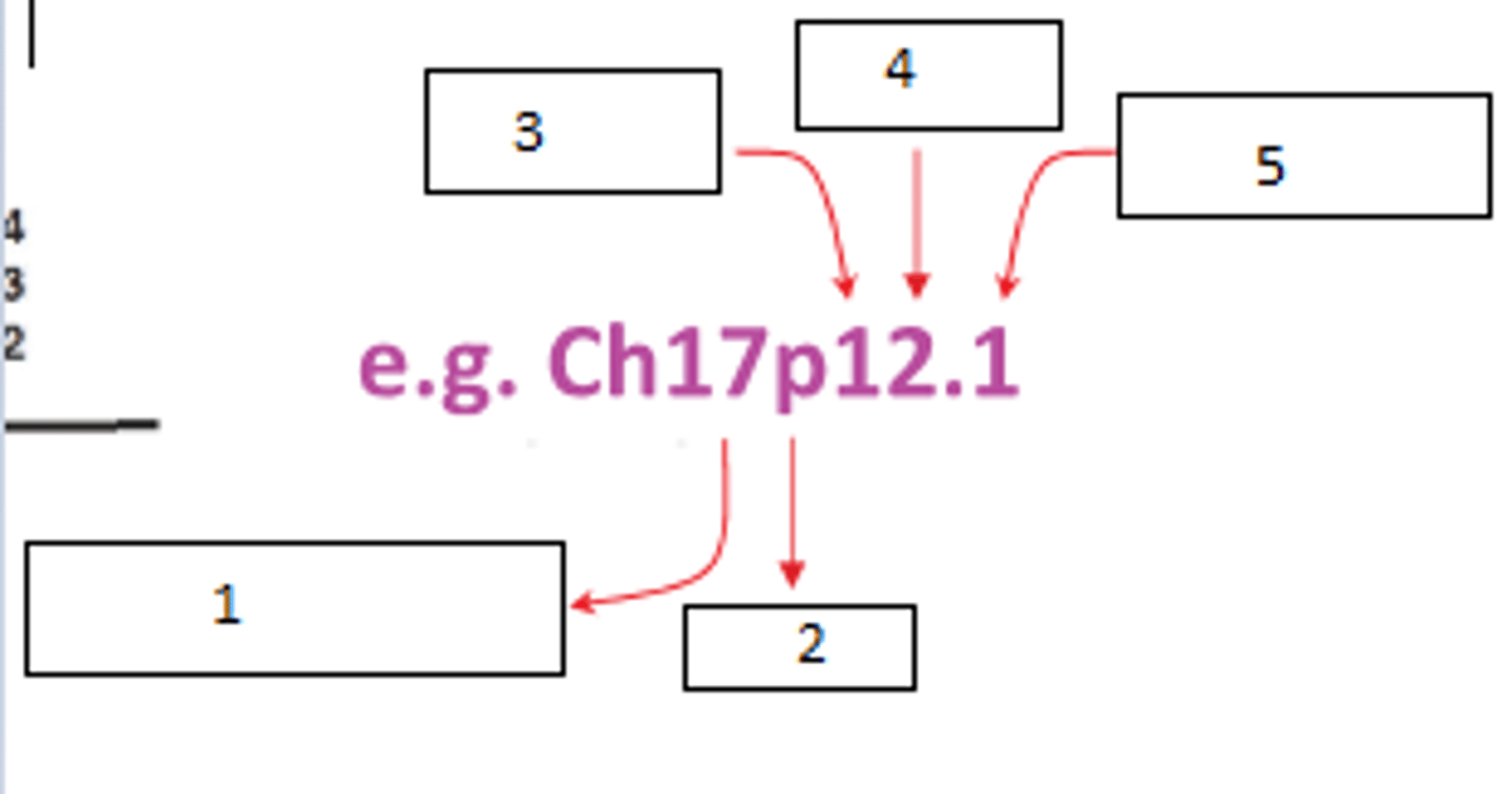 <p>Fill the blanks</p>