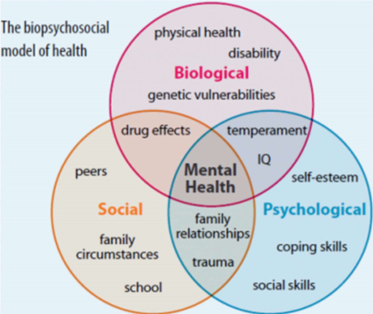 <p>an approach to studying health and human function that focuses on importance of biological, psychological, and social (or environmental) processes</p>