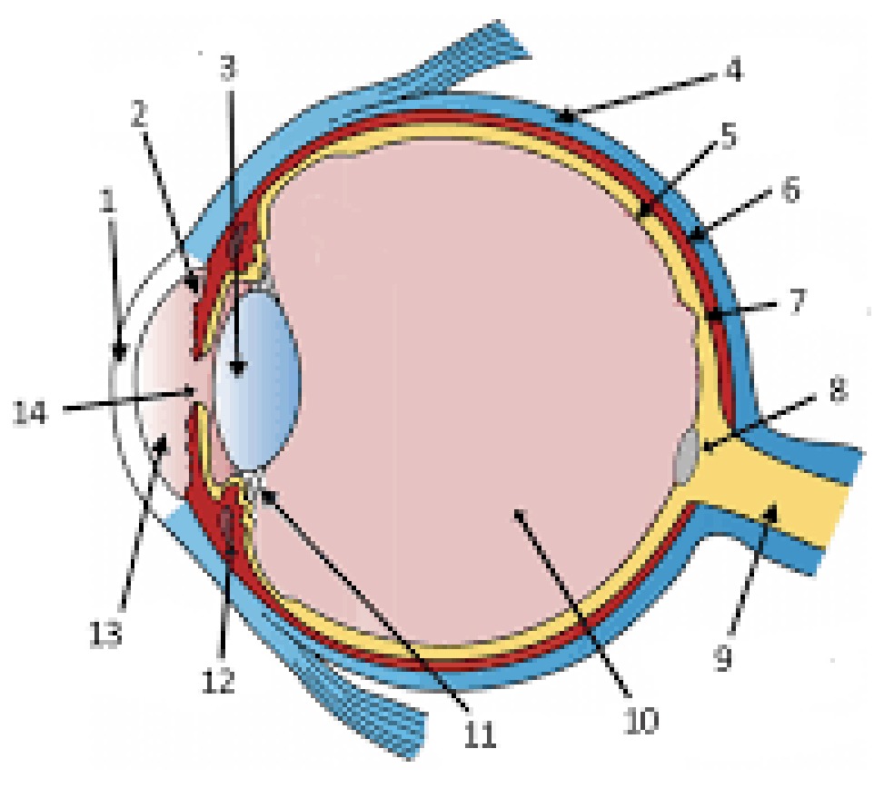 <p>Label figure 6.</p>