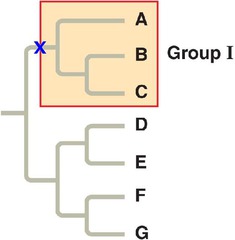 -a group of species that includes an ancestral species and all its descendants.