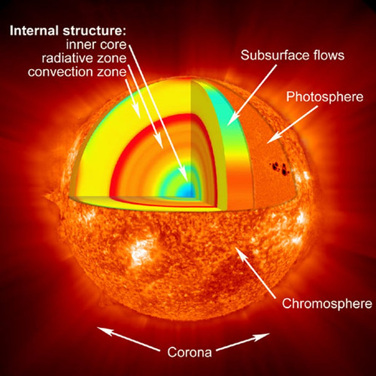 <p>The middle layer of the sun's atmosphere<br>- right above photosphere<br>- notable for its emission of H-alpha spectral lines<br>- indicates presence of hydrogen<br>- about 10^4 - 10^5 K<br>- temp increases with height gradually ( ~4500K - ~10,000K)<br>- visible during a total solar eclipse, the pink color comes from hydrogen (H-alpha line)</p>