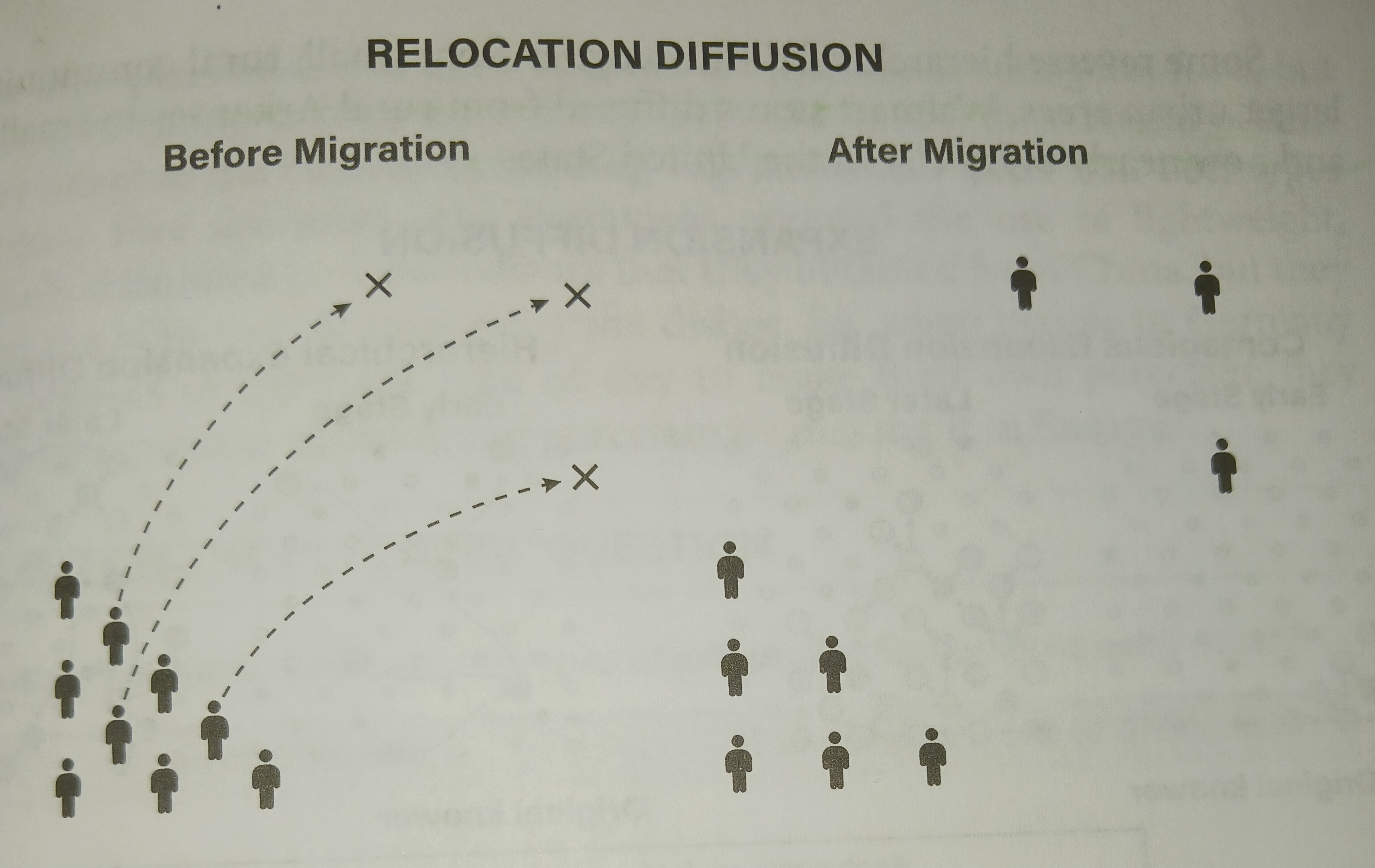 <p>The transport of ideas or behaviors through migration; at times, the areas where migrants settle continue a trait after it has lot its influence at the hearth</p>