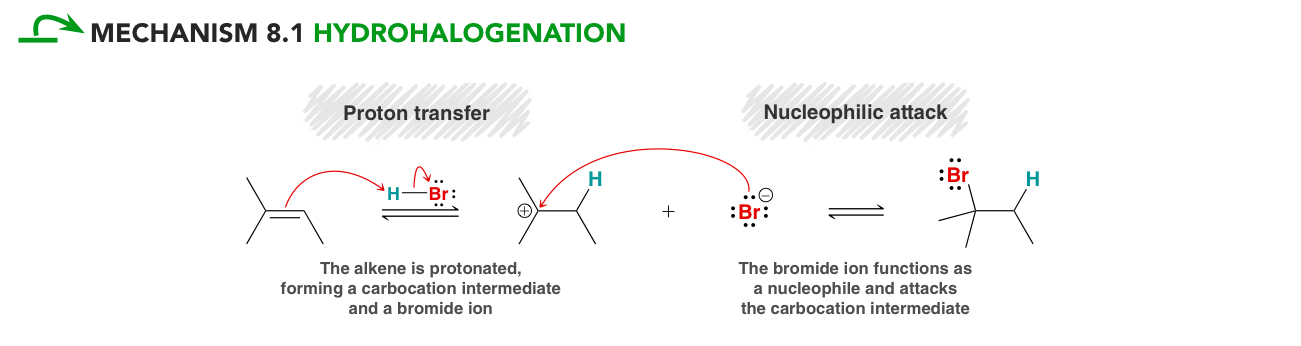 <ol><li><p>Alkene acts as a base and accepts a proton</p></li><li><p>Carbocation formation (with possible rearrangements)</p></li><li><p>Nucleophilic attack</p></li></ol><ul><li><p>lookout for enantiomers!</p></li></ul><p></p>