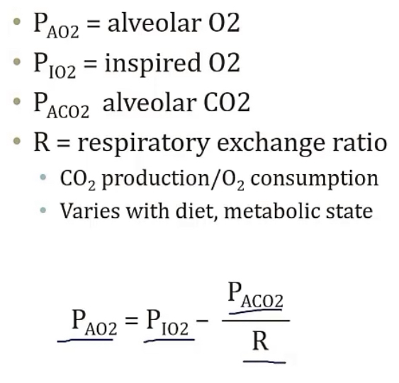 <p>-alveolar O2 level</p>