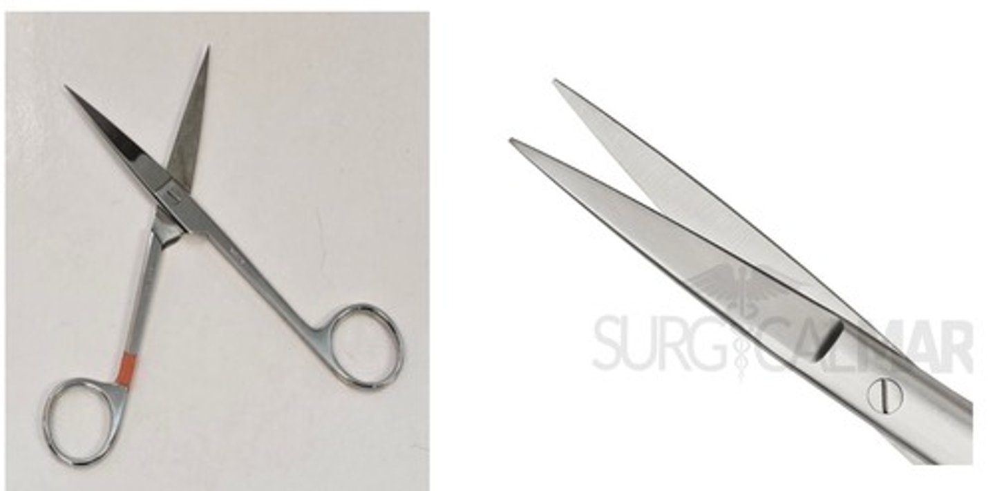 <p>Name this instrument. Spelling counts.</p>