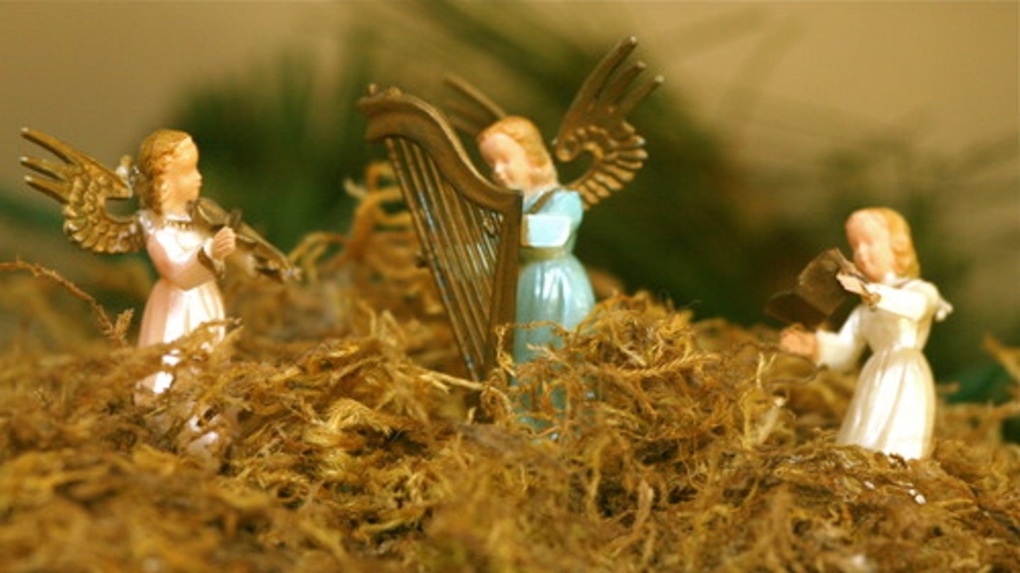 <p>el Día de los Santos (y Angelitos)</p>