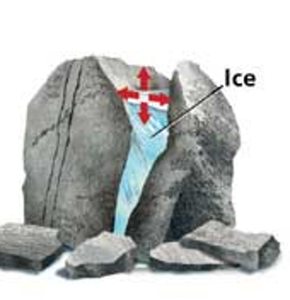 <p>Process that splits rock when water seeps into cracks, then freezes and expands.</p>