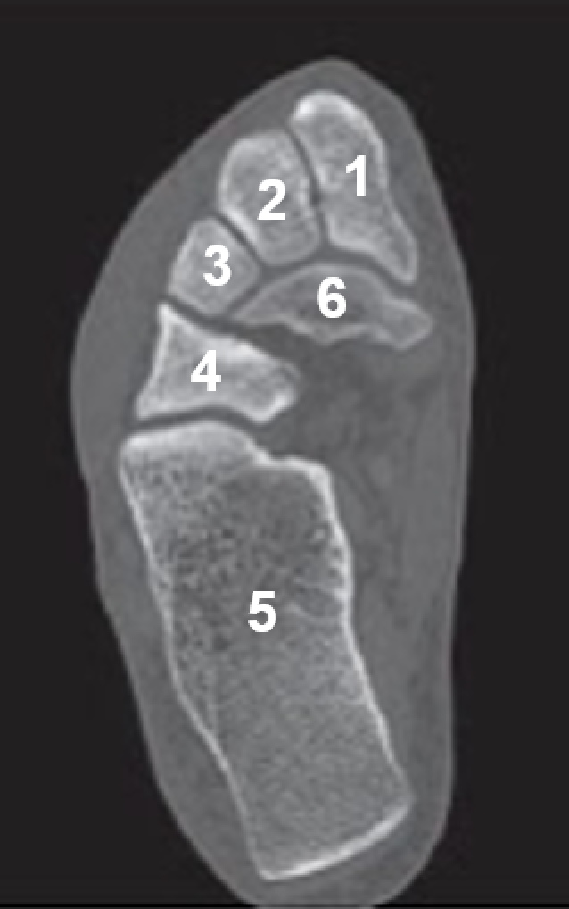 <p>6</p>