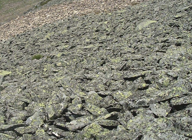 <p>Frost wedging Felsenmeer (rock Sea)</p>