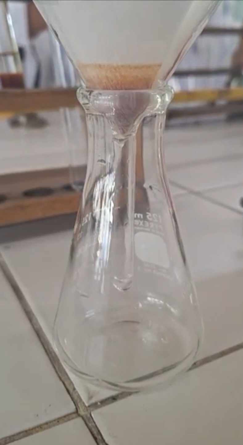 <p>what process is shown in the picture?</p>