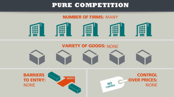 <p>Pure competition</p>