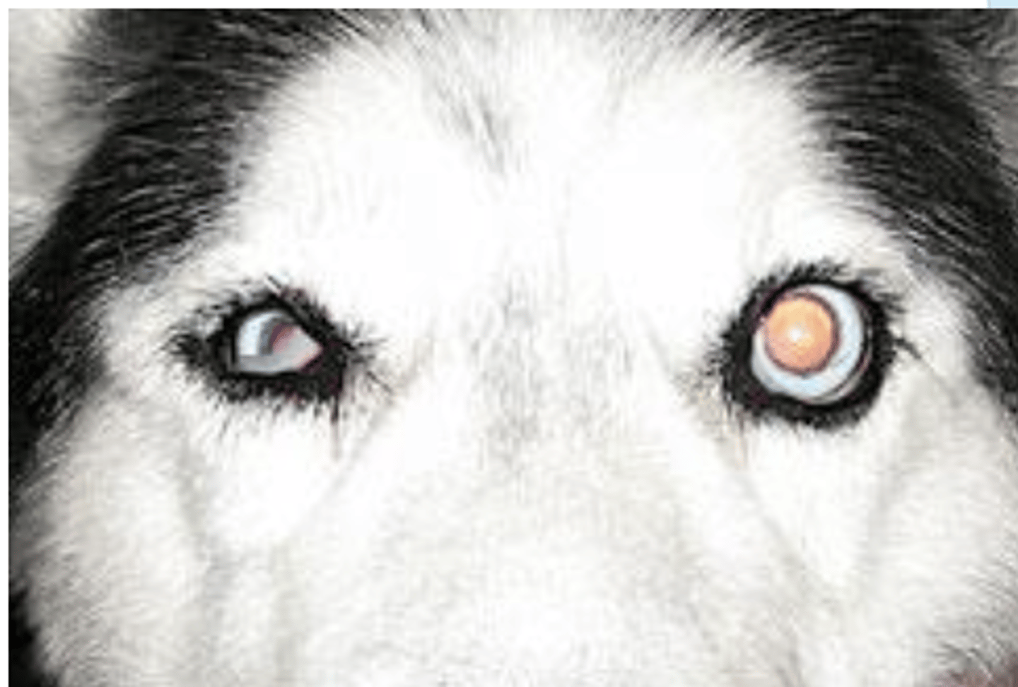 <p>these signs are typical of...</p>