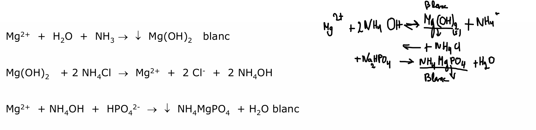 <p>+NH4 Cl pour effet d’ion commun —&gt; dissolution de l’hydroxyde</p><p>formation d’un co précipité spécifique au Mg2+</p>