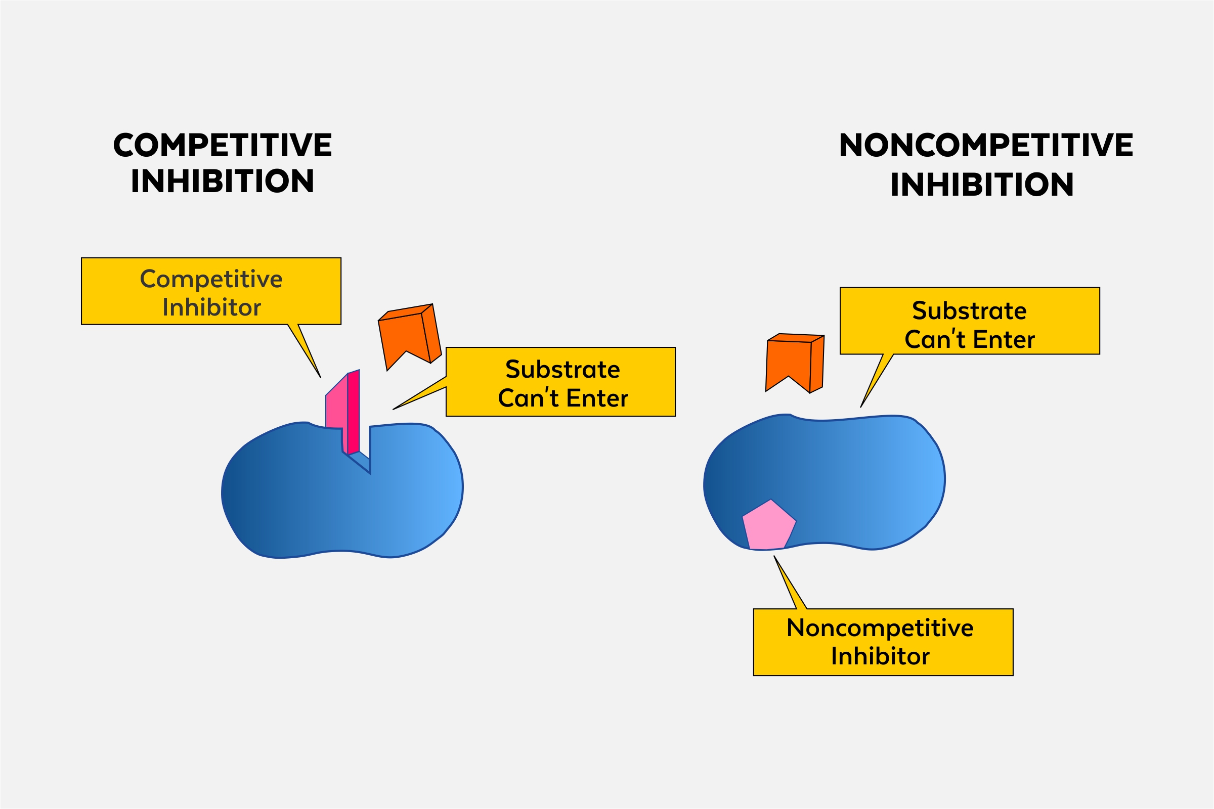 <p>a molecule that binds to an allosteric site on an enzyme, decreasing its activity by inducing a conformational change. (noncompetitive)</p>