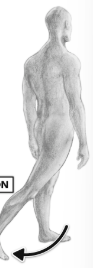 <p>What movement is this?</p>