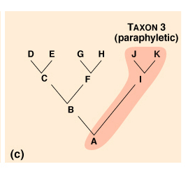 Decribe paraphyletic grouping on a cladogram