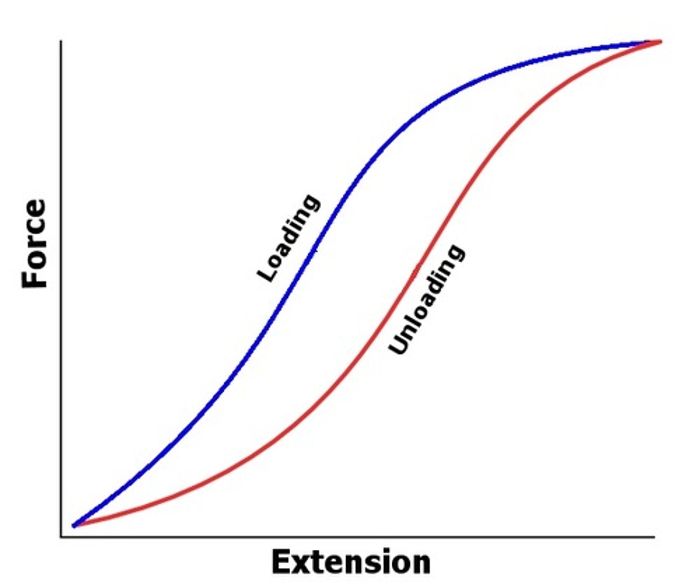 <p>Change in the stress/strain relationship with elongation and relaxation.</p>