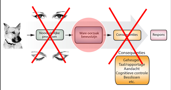 <p>proces wat leidt tot bewustzijn</p><p>probleem dat er allemaal dingen bijkomen, proces van op een knopje drukken om aan te geven dat je iets ziet</p><p>moeilijk te isoleren</p>