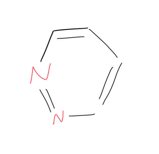 <ul><li><p>in nucleic acids</p></li><li><p>5-/6- ring</p></li><li><p>almost like benzene</p></li></ul><p></p>