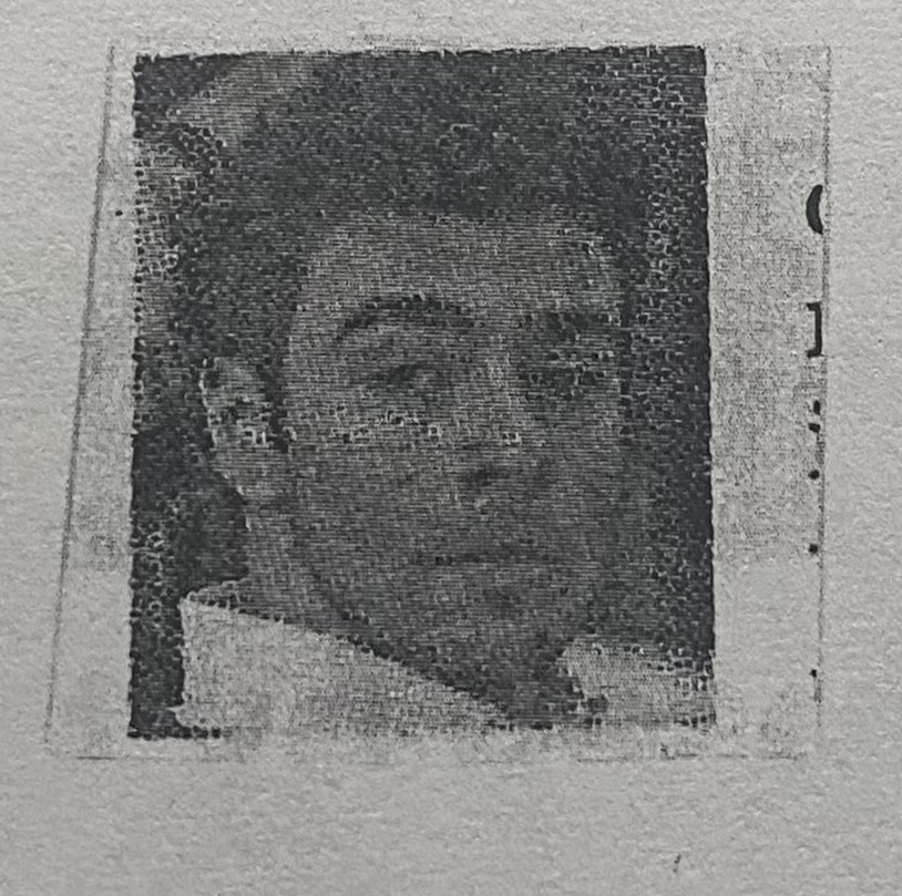 term image