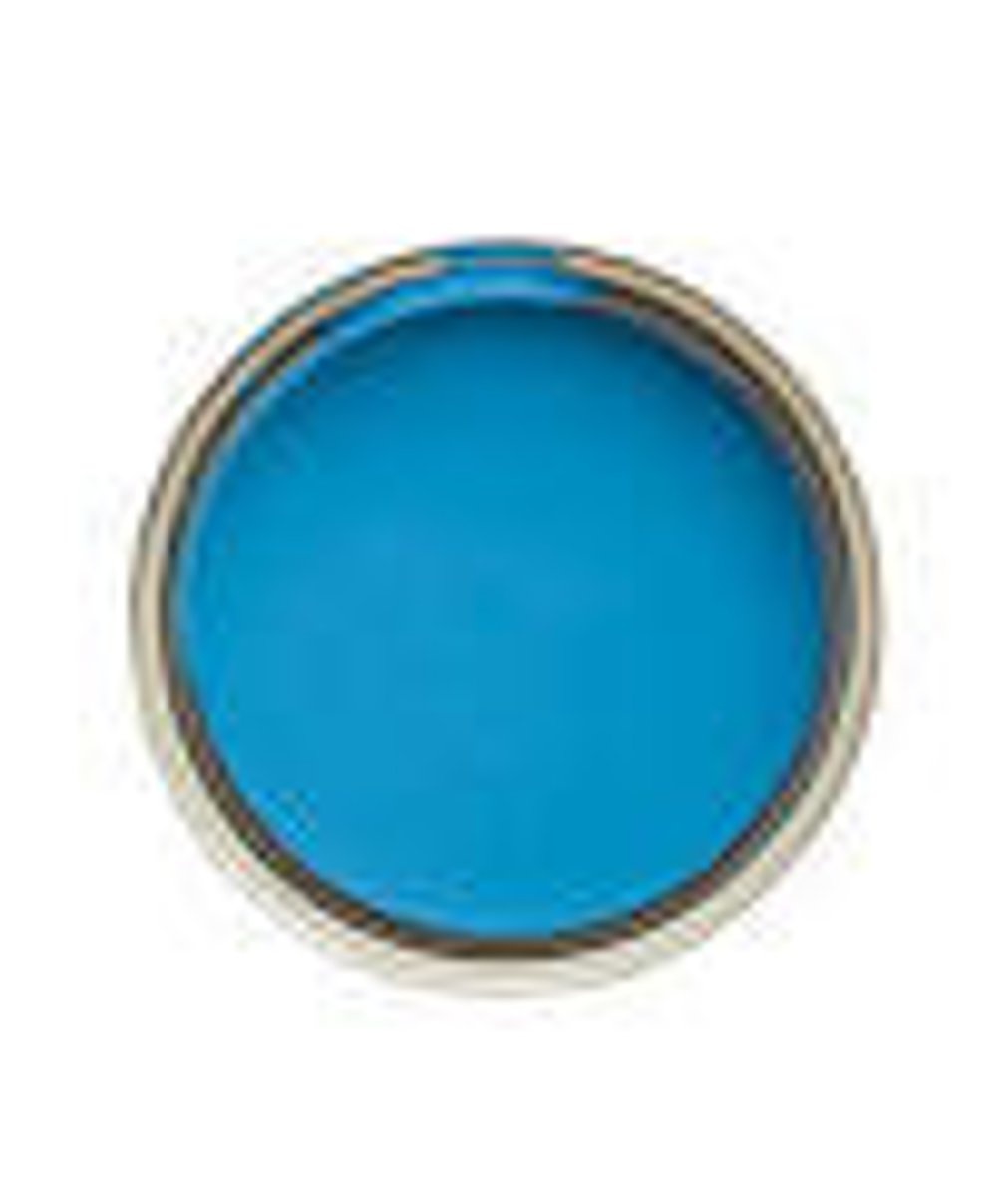 <p>the color blue</p>