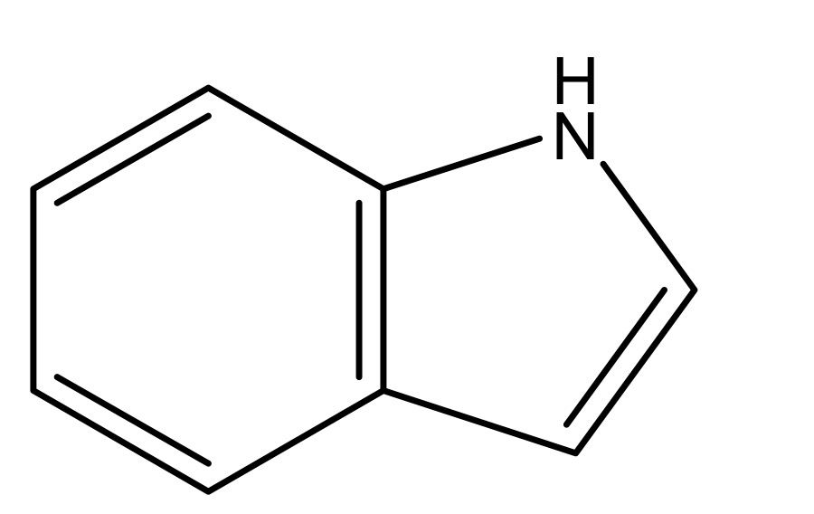 <p>Indol</p>