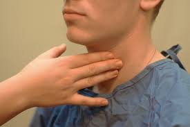 <p>side of the neck </p>
