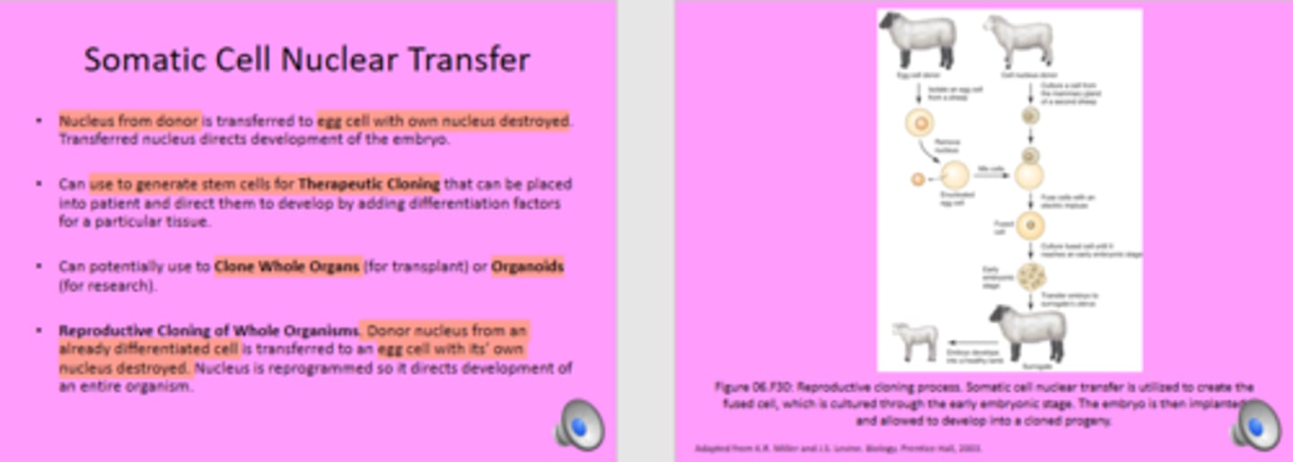 <p>False; "An somatic cell nucleus and a egg cell with its own nucleus destroyed, is required."</p>