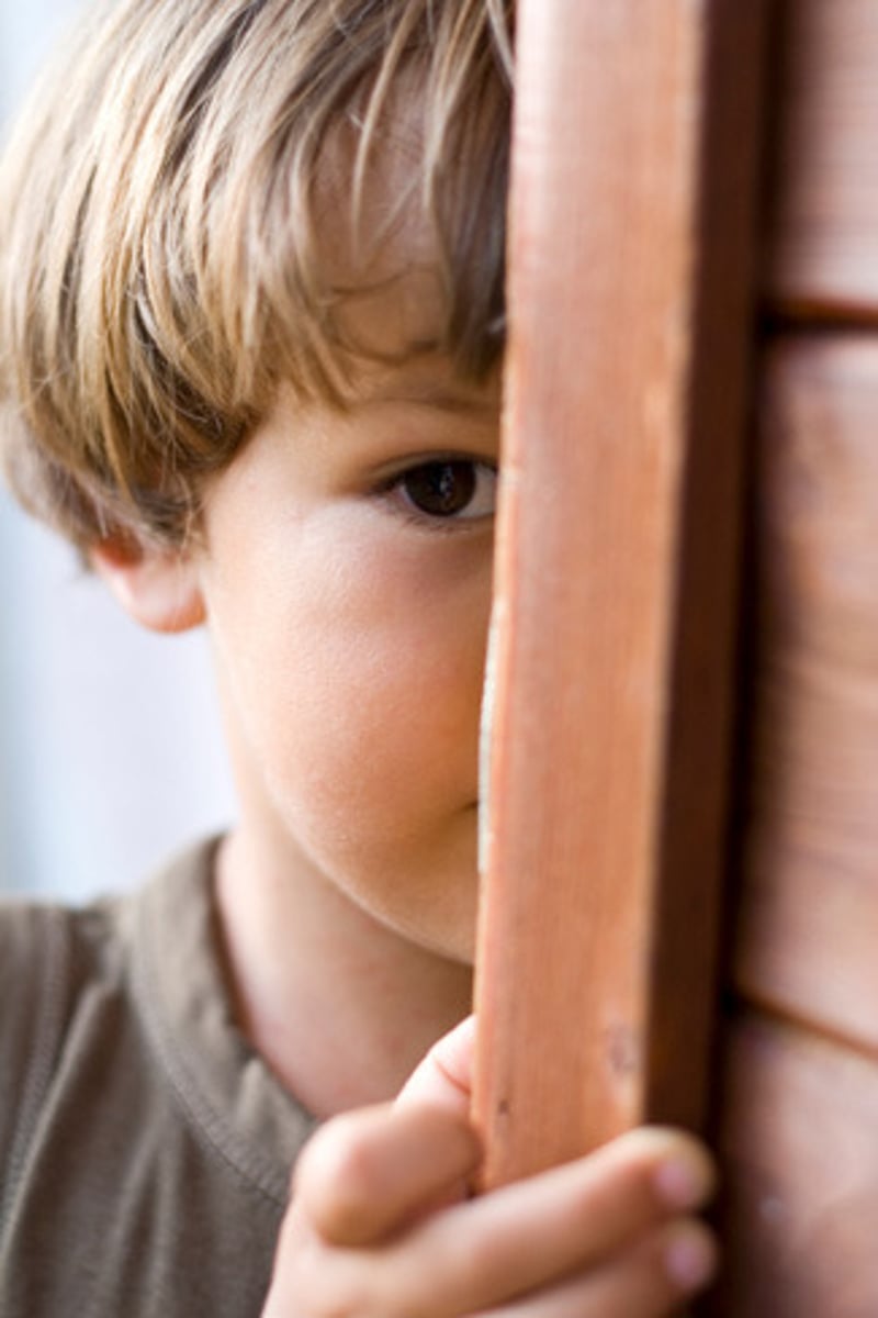 <p>timid, shy</p>