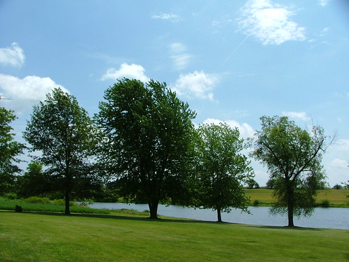 a mild climate