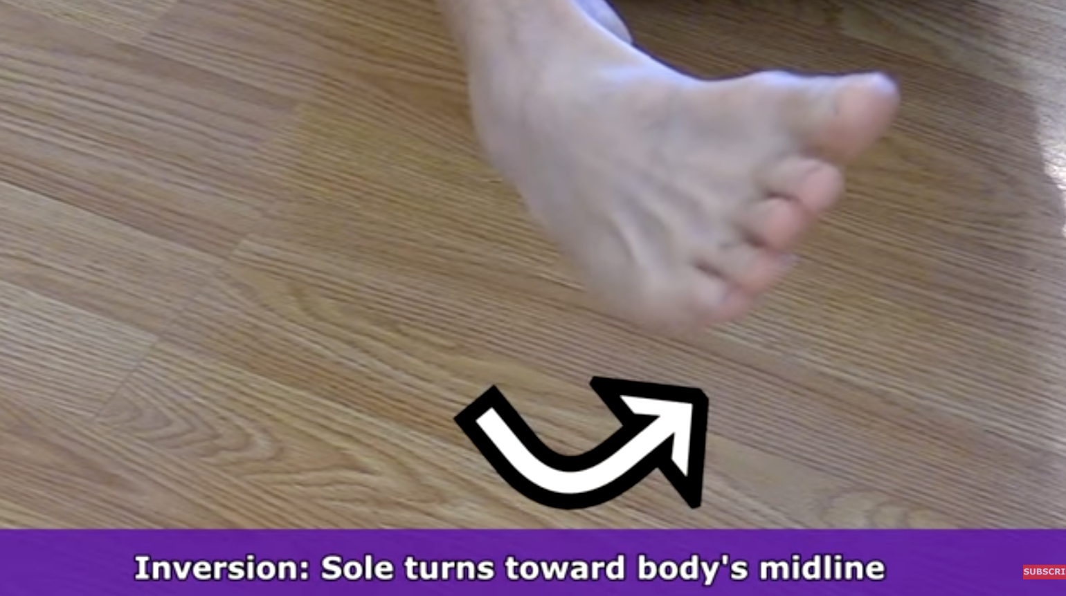 <p>foot towards the bodies midline </p>