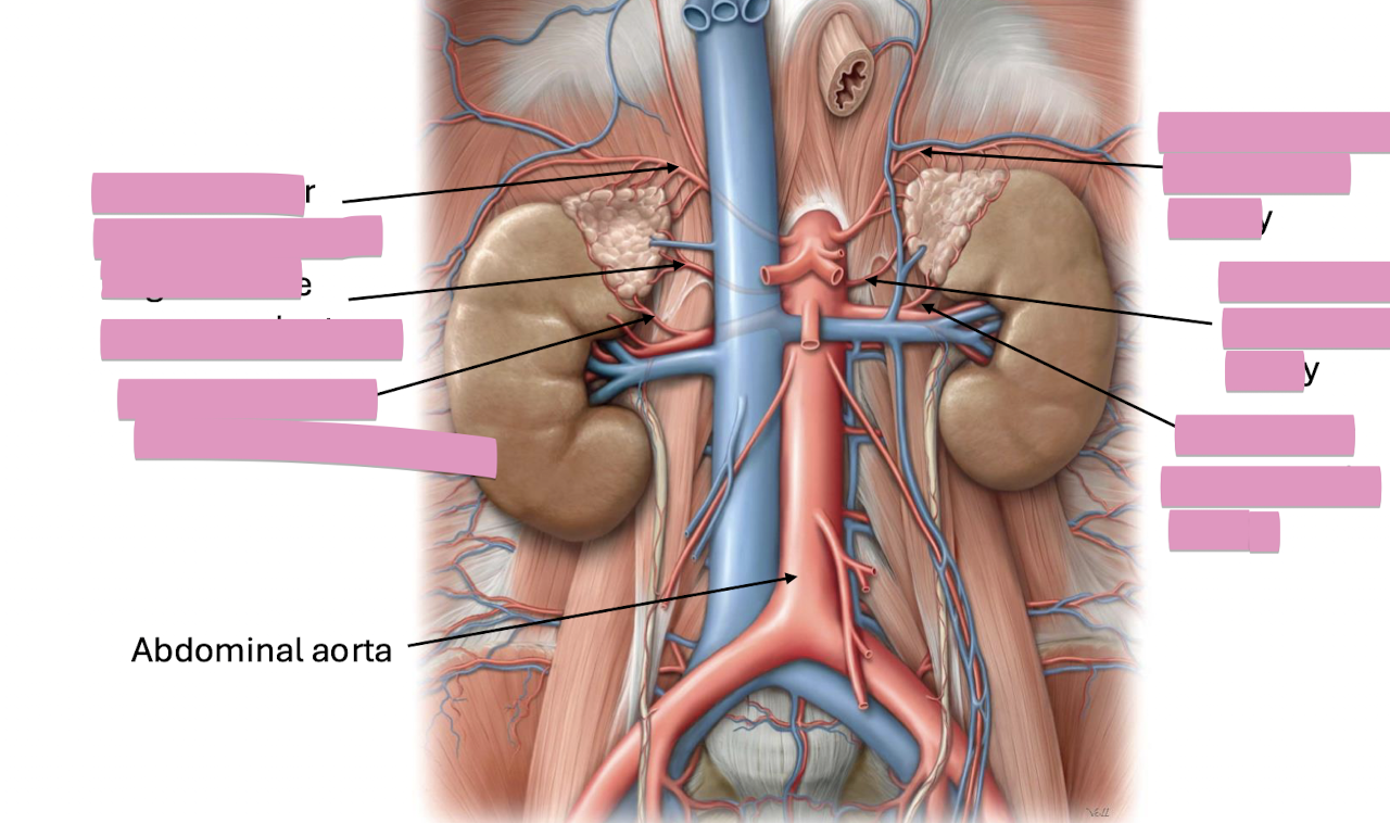 <p>Fill in the blank </p>