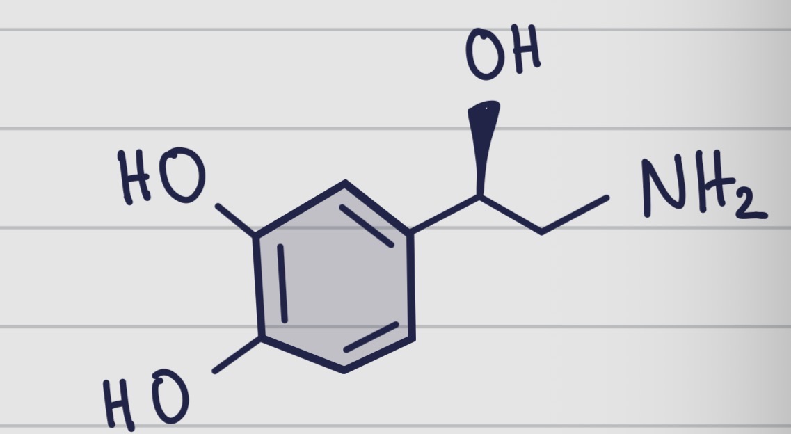 <p>De quelle molécule s’agit il ? </p>