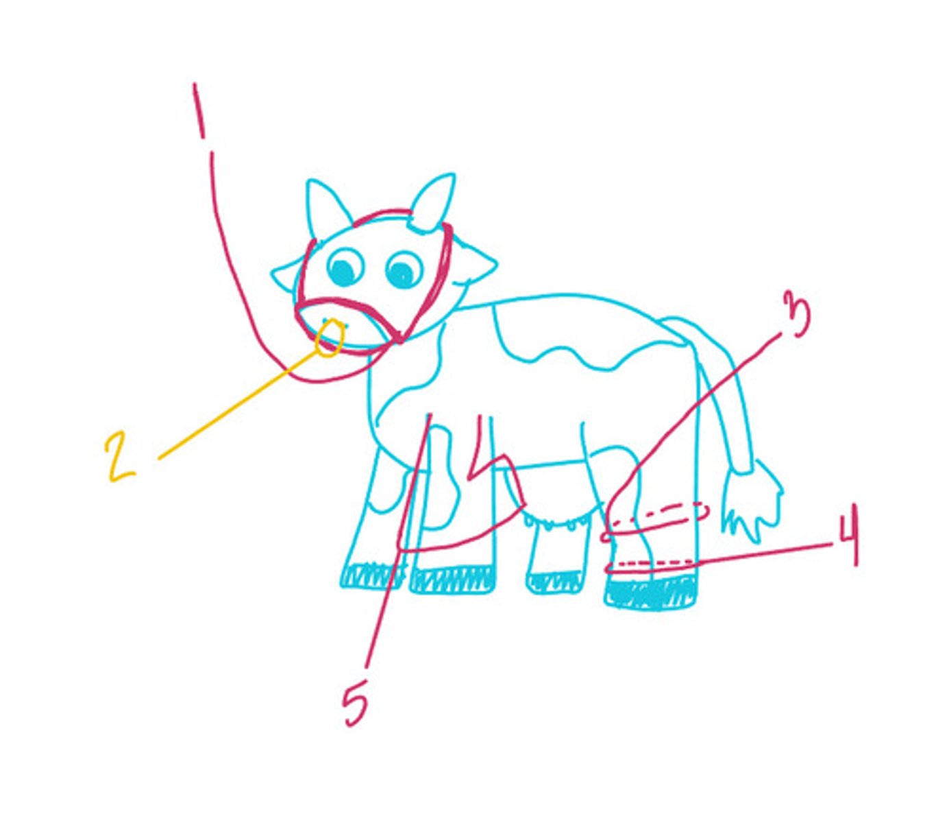 <p>Name some ways to restrain cattle</p>