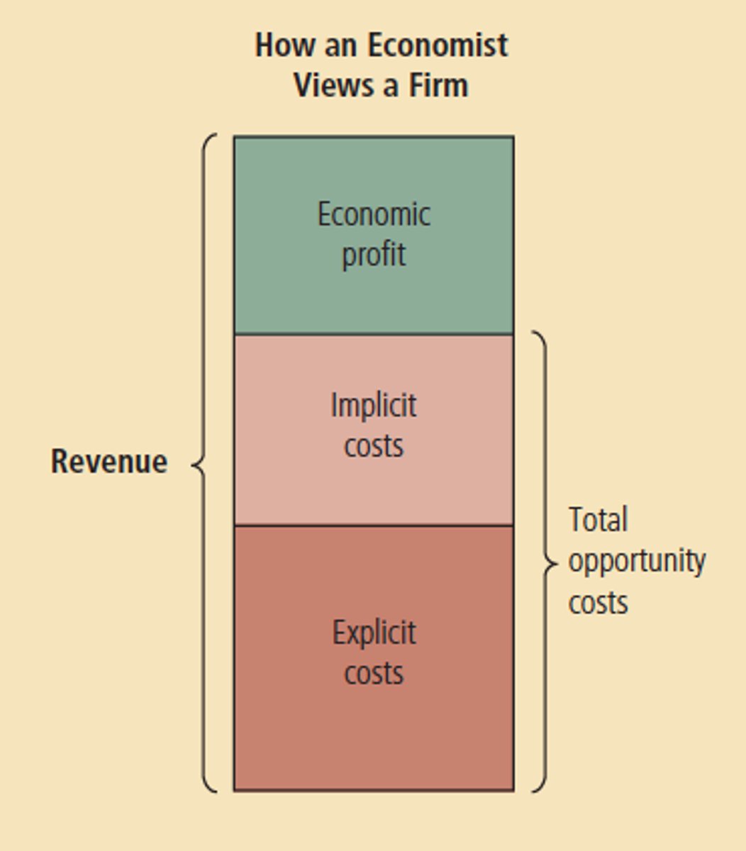 <p>total revenue minus total cost, including both explicit and implicit costs</p>