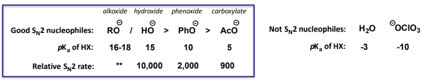 <p>water and perchlorate are basic but not nucleophiles</p><p>note about water and OH<sup>-</sup> pK<sub>a</sub>s - the pK<sub>a</sub> for OH<sup>-</sup> is water’s pK<sub>a</sub>, while the pK<sub>a</sub> for water is H<sub>3</sub>O<sup>+</sup>’s, as these are their conjugate acids</p>