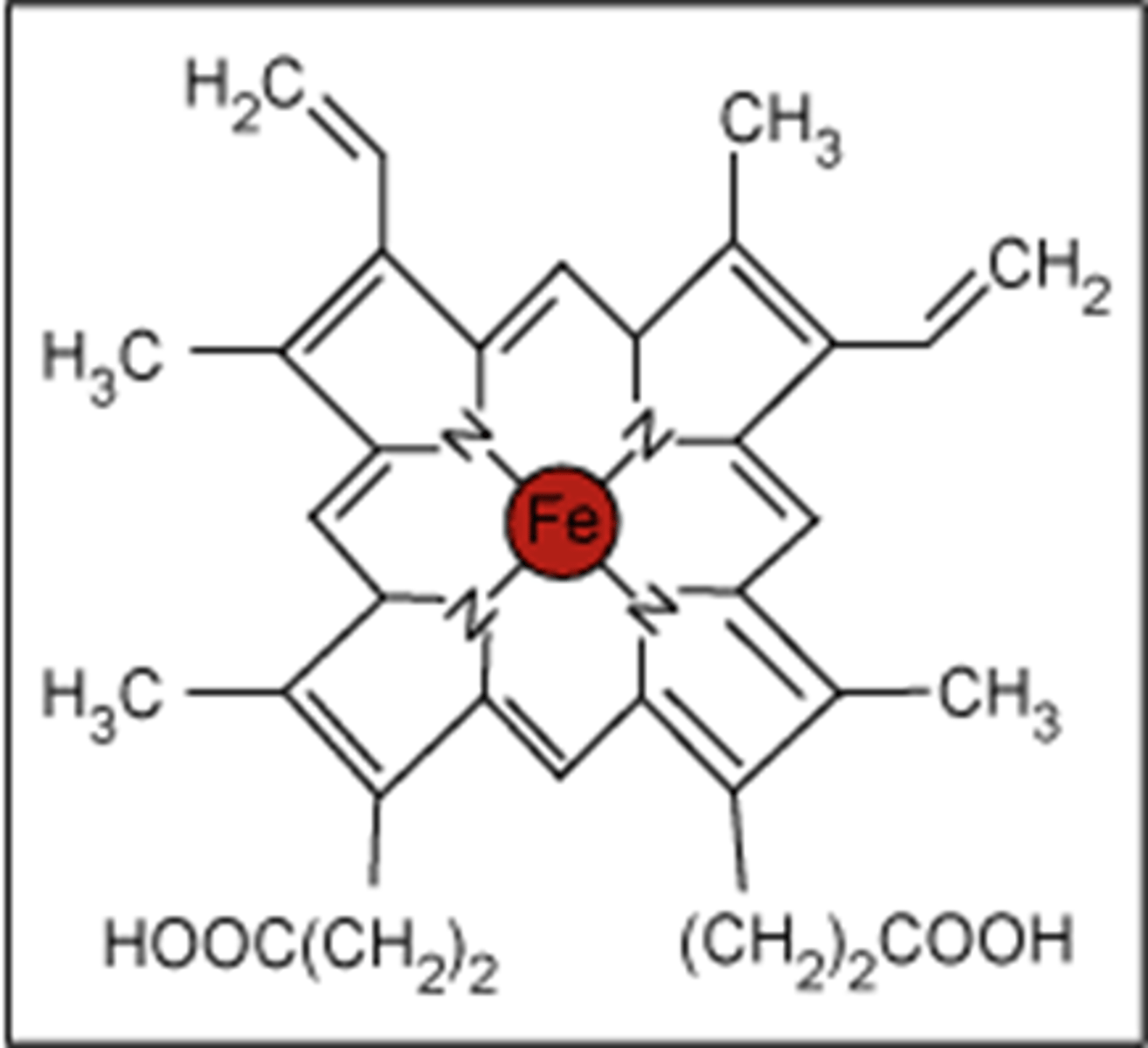 <p>An Fe²⁺ complex with a multidentate ligand</p>