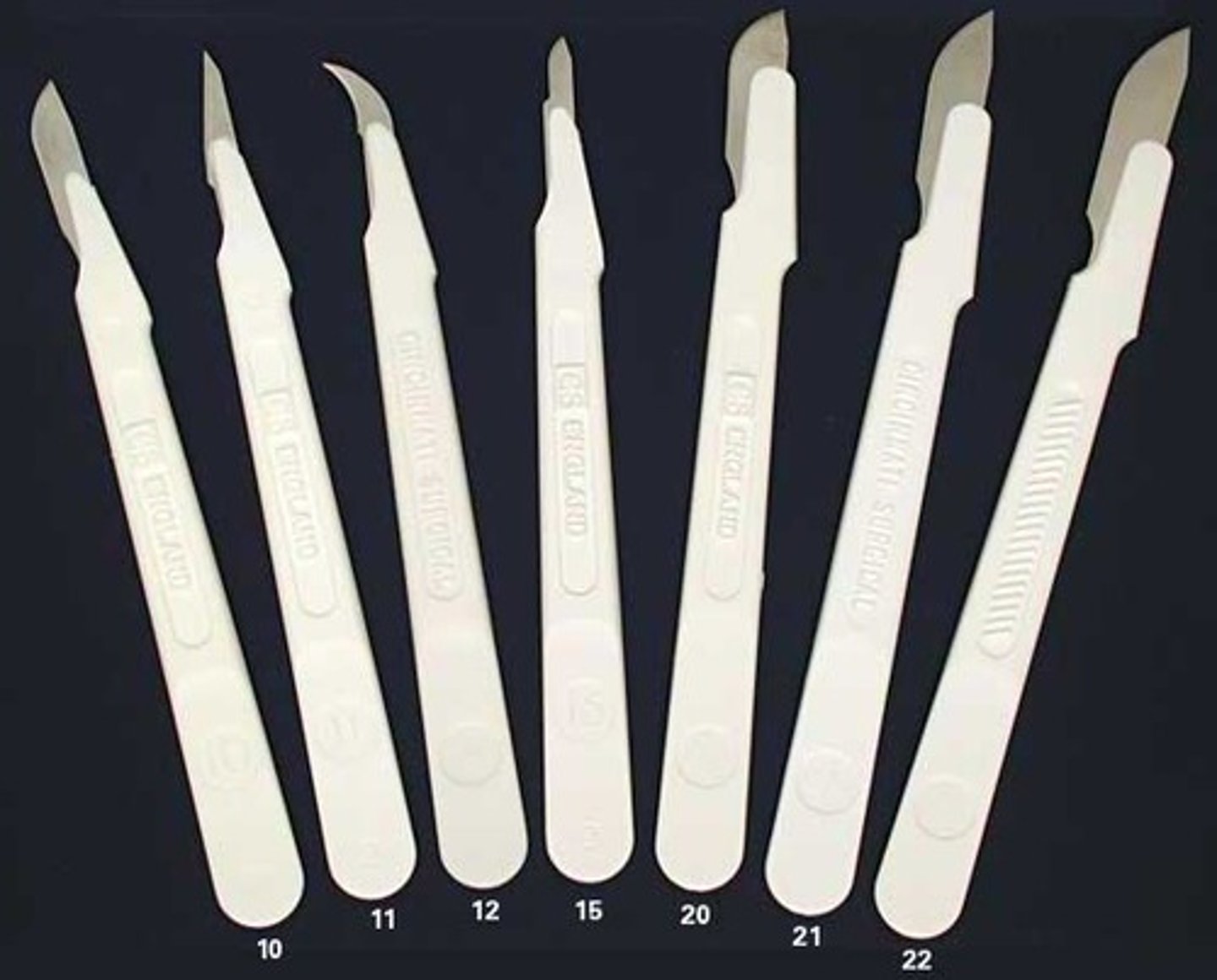 <p>Small, sharp knife used to dissect</p>