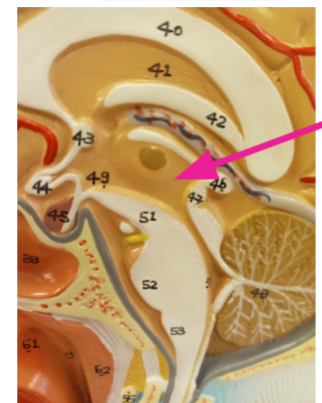 <p>area around the circle</p>