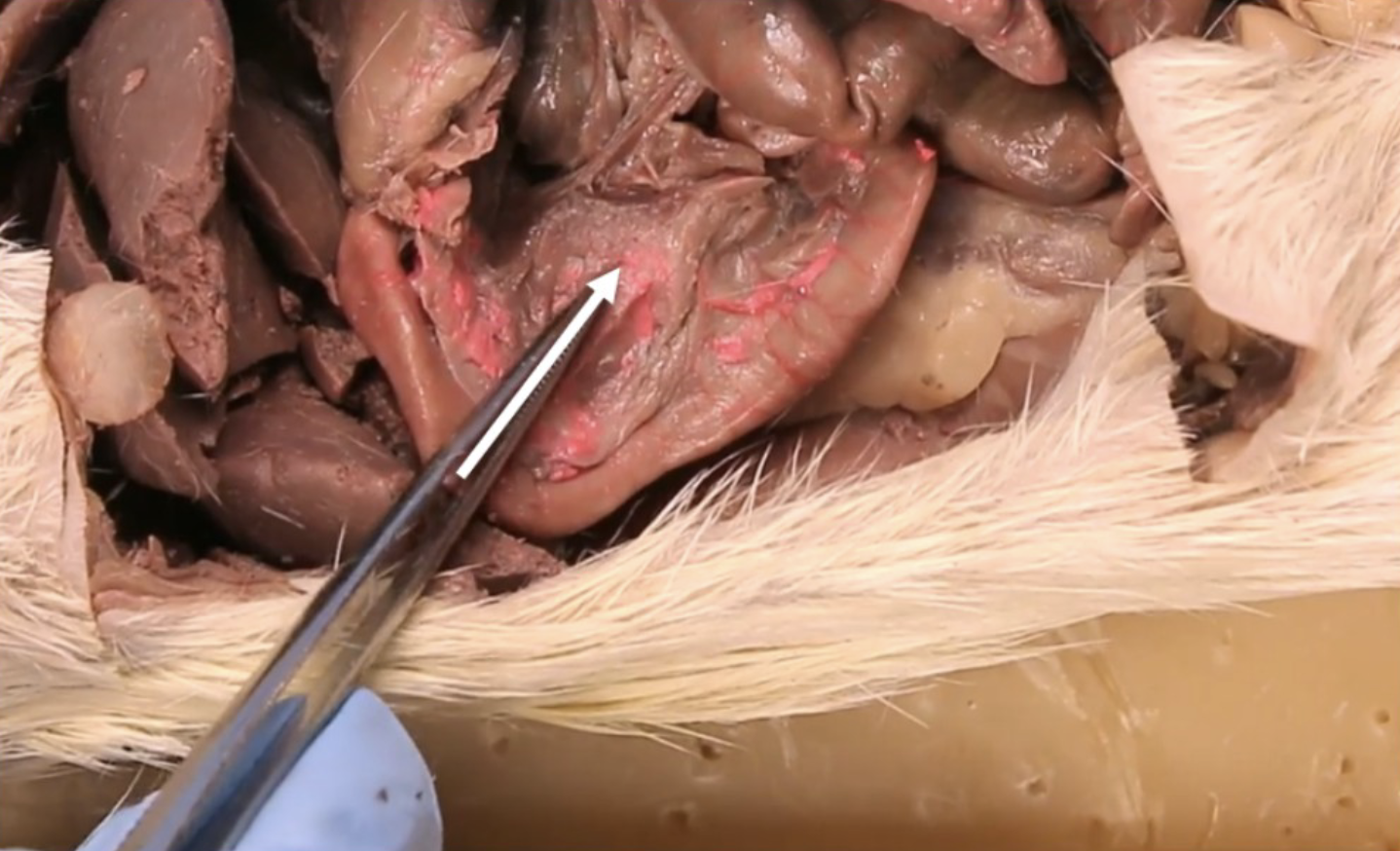 <p>What is this?</p>