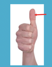 <p></p>