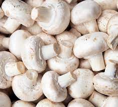 <p>mushrooms</p>