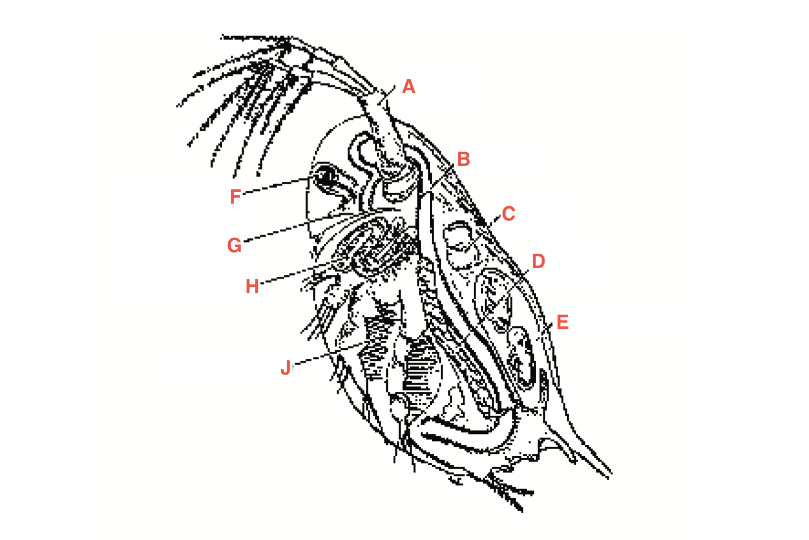 <p>What is E?</p>