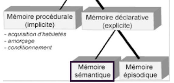 <p>→ fait partie de la mémoire déclarative </p><p>→ forme de mémoire par lequel l’individu stocke ses connaissances générales sur le monde (faits et concepts) </p>