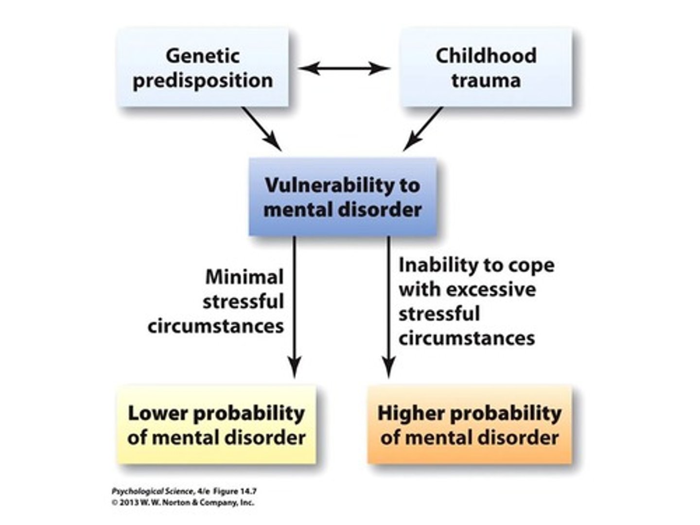<p>... explores how heredity and the environment interact with regards to mental illness</p><p>=&gt; The model suggests that psychopathological conditions are caused in the first instance by agentic vulnerability (diathesis) but are only expressed when triggered by an environmental trigger (stress)</p>