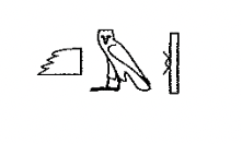term image