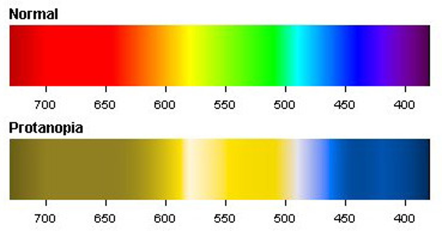 <p>Green-weakness colorblindness</p>